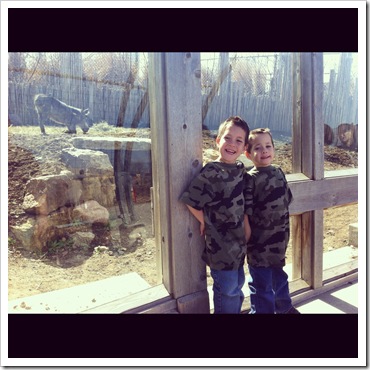 indianapolis zoo spring visit