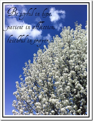 romans 1212 be joyful in hope patient in affliction faithful in prayer romans 1212 be joyful in hope patient in affliction faithful in prayer