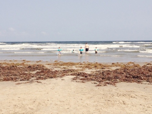 20130522-215259.jpg