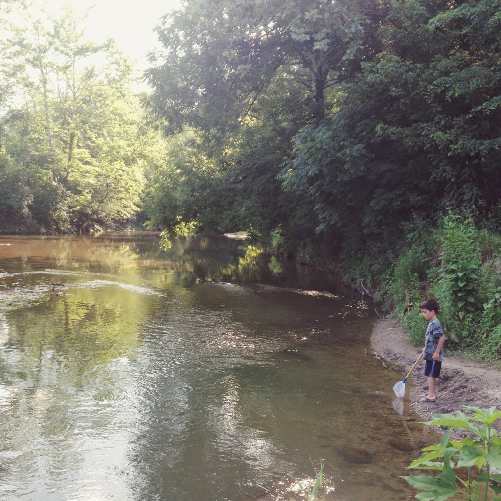 hueston-woods-state-park-fishing