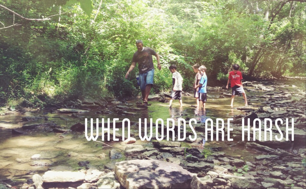 when-words-are-harsh-parenting